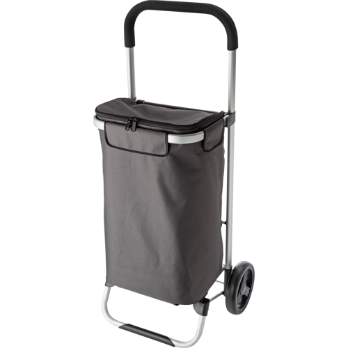 Cooler shopping trolley