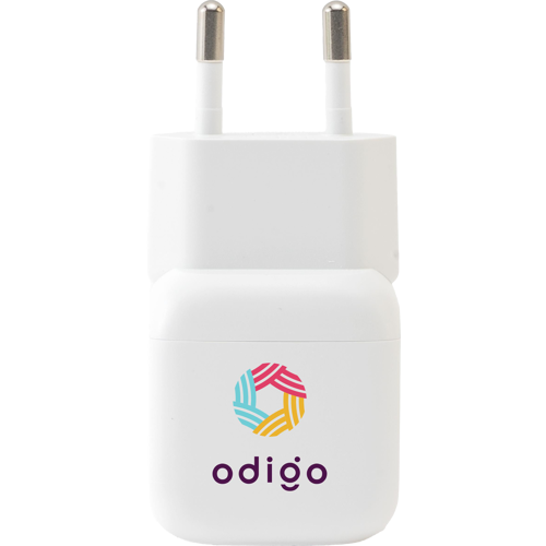 Belkin wall charger (Not suitable for UK or Ireland)