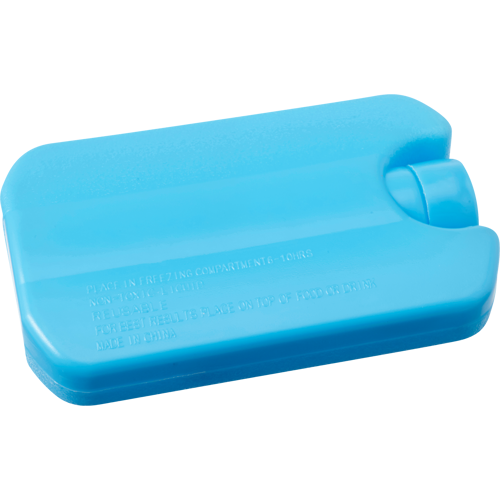 Recyclable ice pack