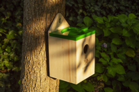 Wooden birdhouse 262452_945 (Wood)