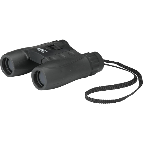 Homey's binoculars