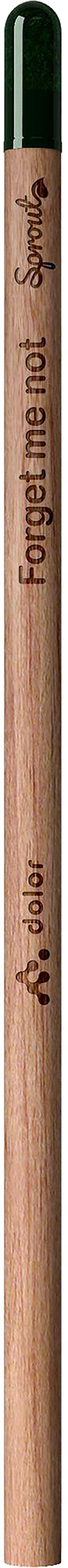 Picture of Sproutworld unsharpened pencil