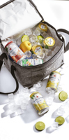 RPET felt cooler bag 263927_003 (Grey)