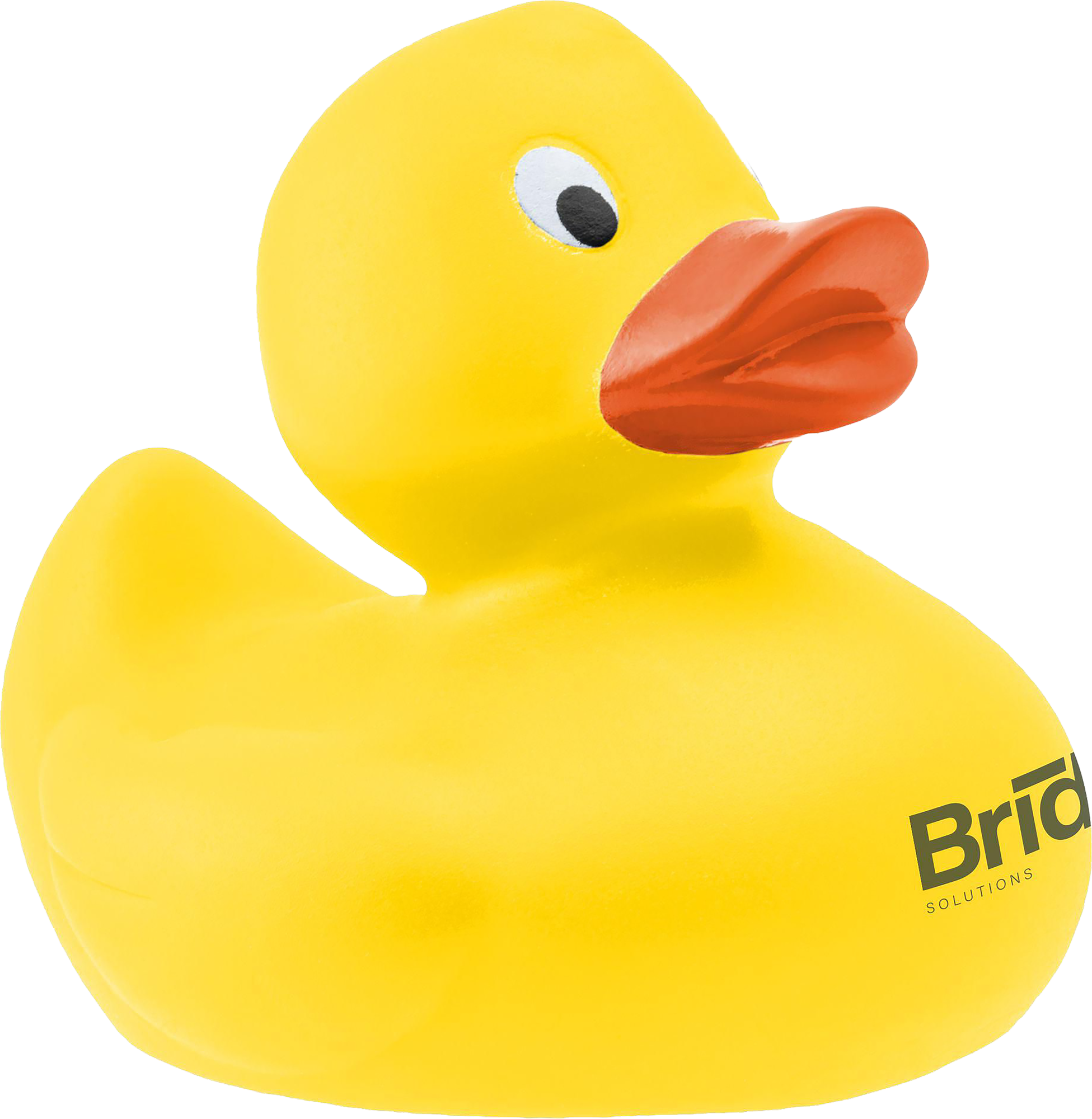 Picture of Rubber duck