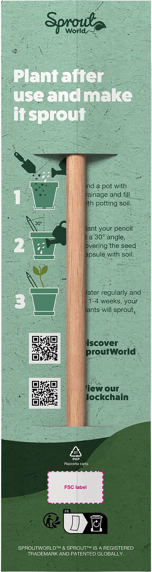 Picture of Sproutworl card Header (no pencil)
