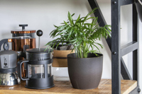 Coffee flower pot 269116_011 (Brown)