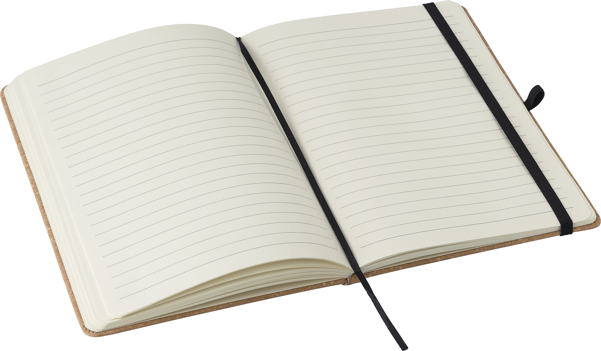 Picture of Recycled leather notebook (approx A5)