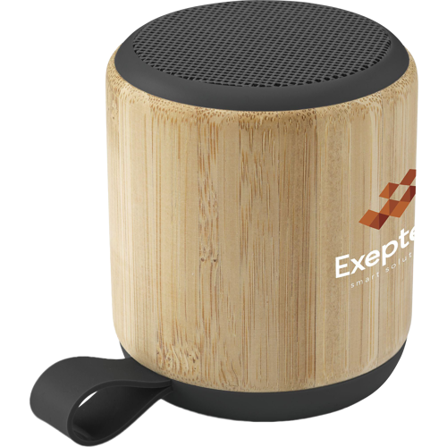 Bamboo wireless speaker