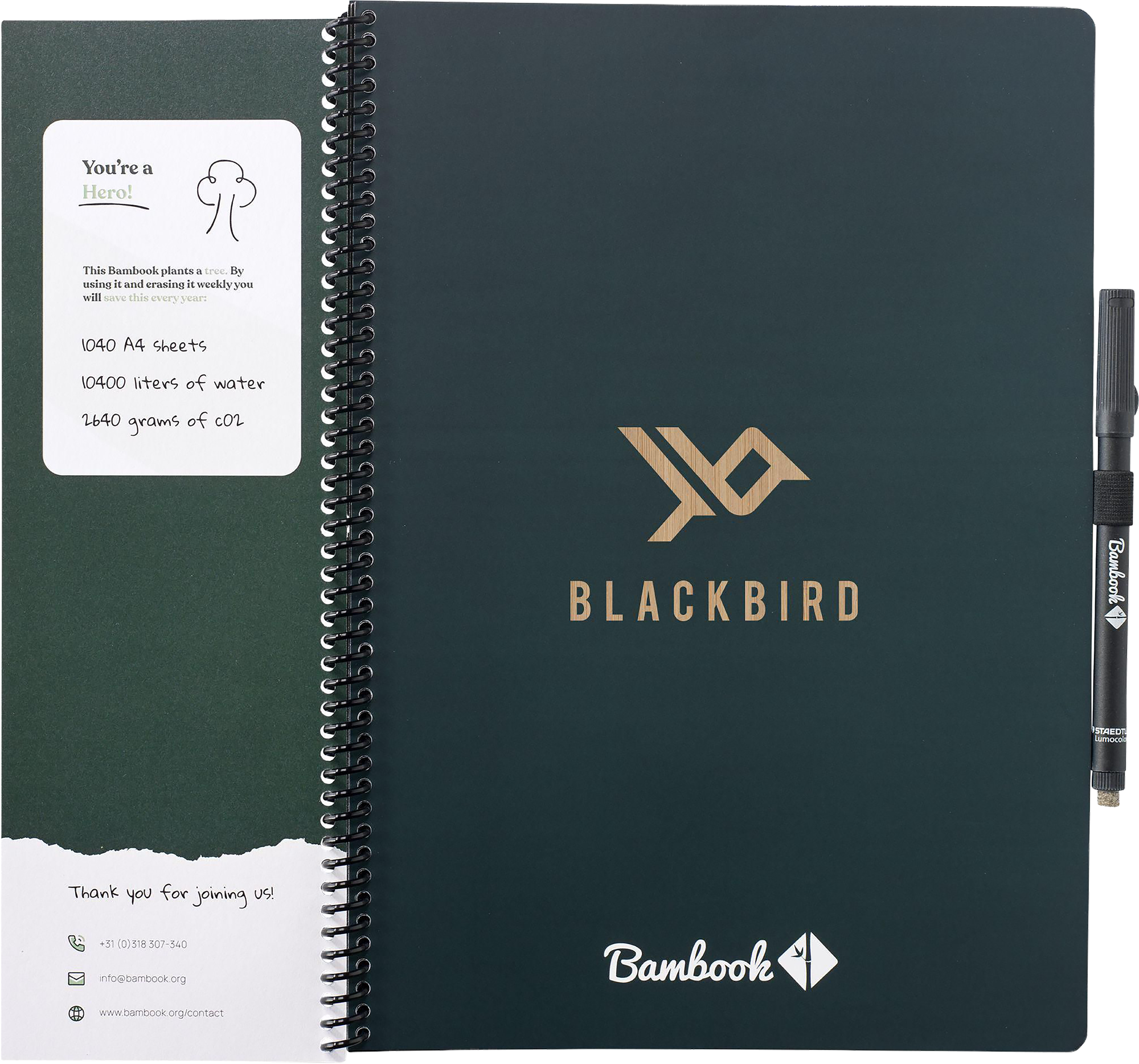 Picture of Bambook notebook with pen loop (approx A4)