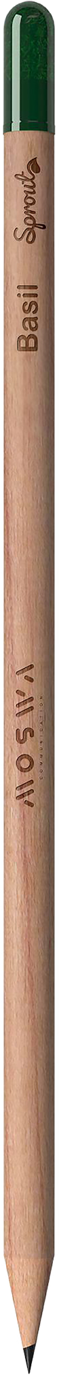 Picture of Sproutworld sharpened pencil