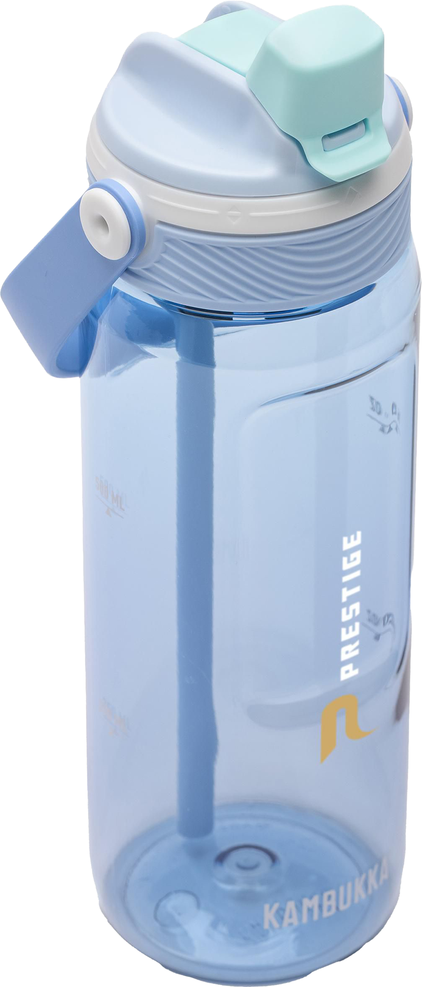 Picture of Kambukka® bottle (750ml) 