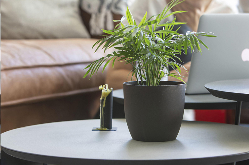 Coffee flower pot 269116_011 (Brown)