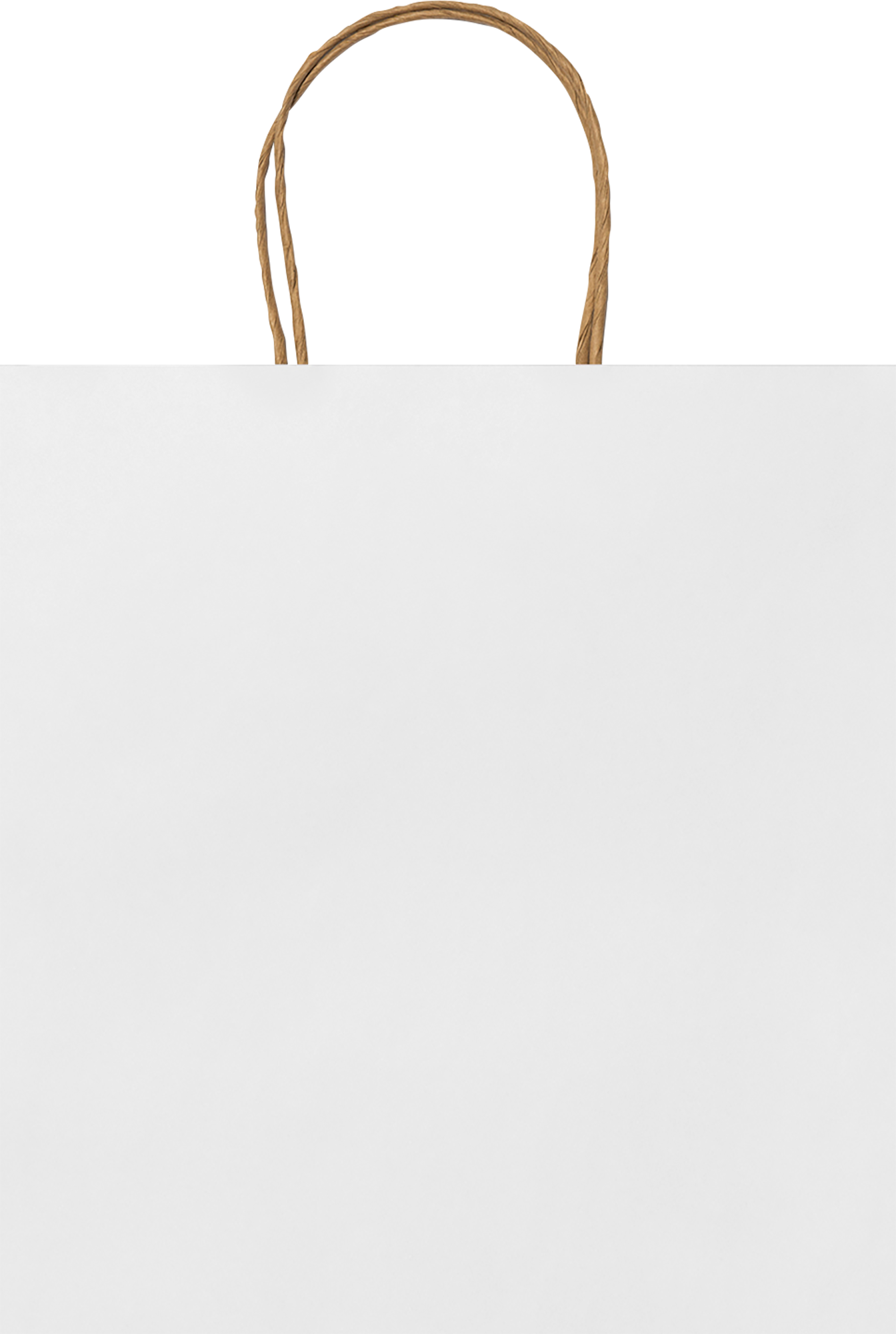 Picture of Paper bag (230 x 220 x 90mm)