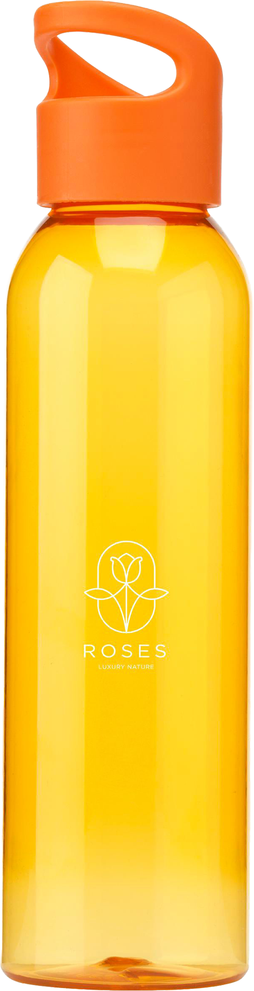 Picture of RPET drinking bottle (650 ml)
