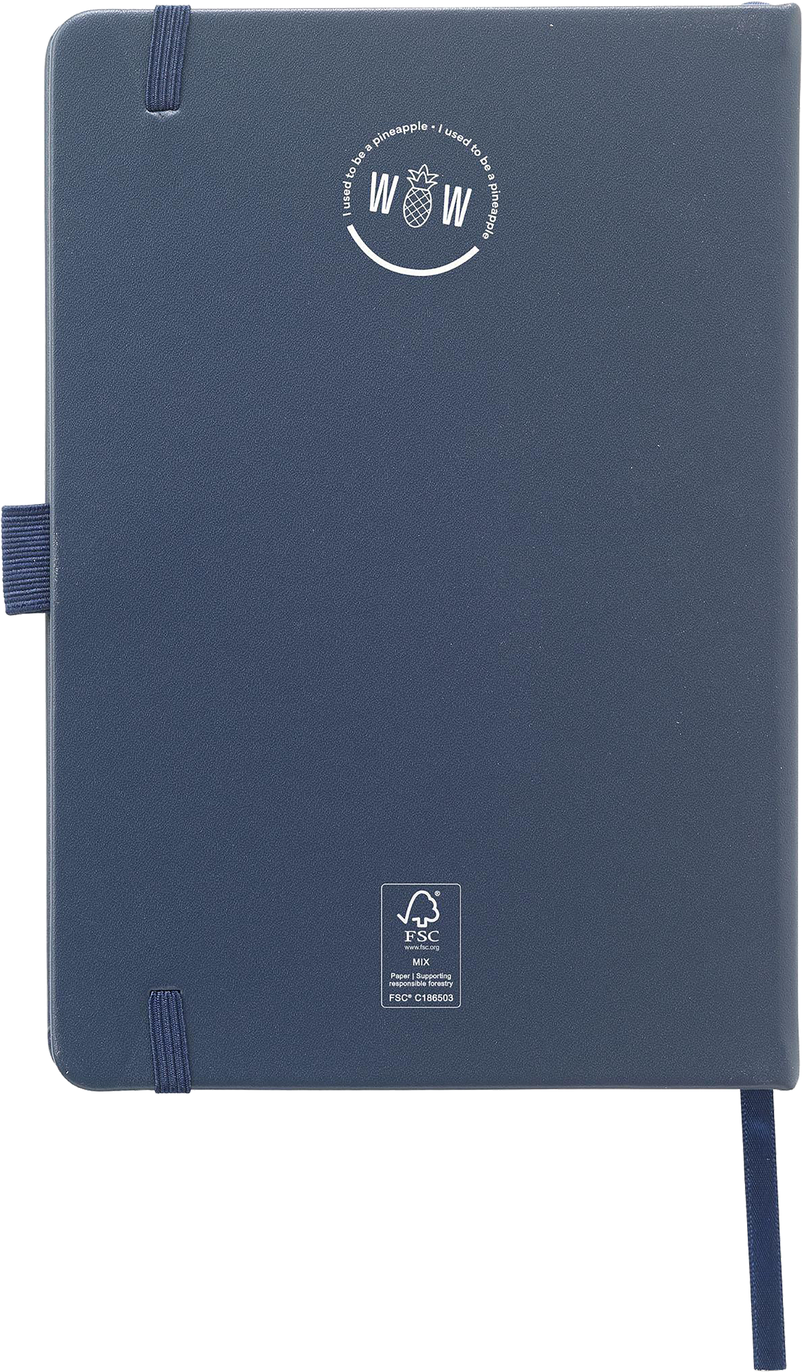 Picture of Pineapple paper notebook (approx. A5)