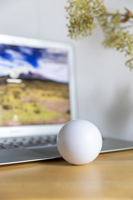 Anti-stress ball 003965_lif