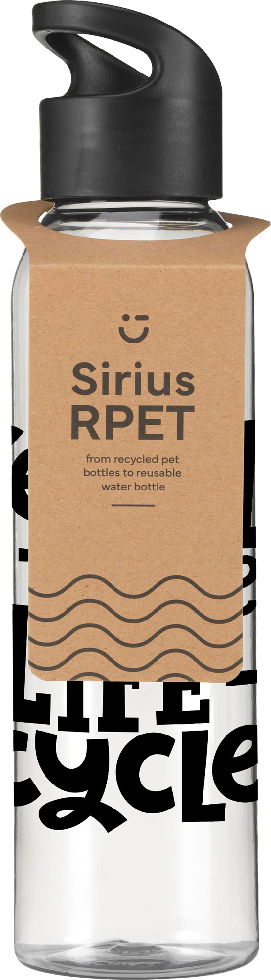 Picture of RPET drinking bottle (650 ml)