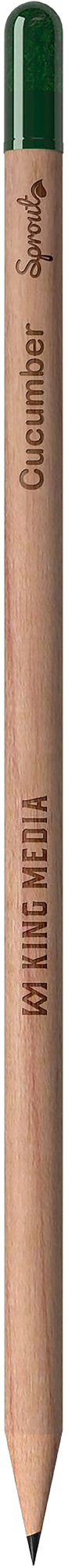Picture of Sproutworld sharpened pencil