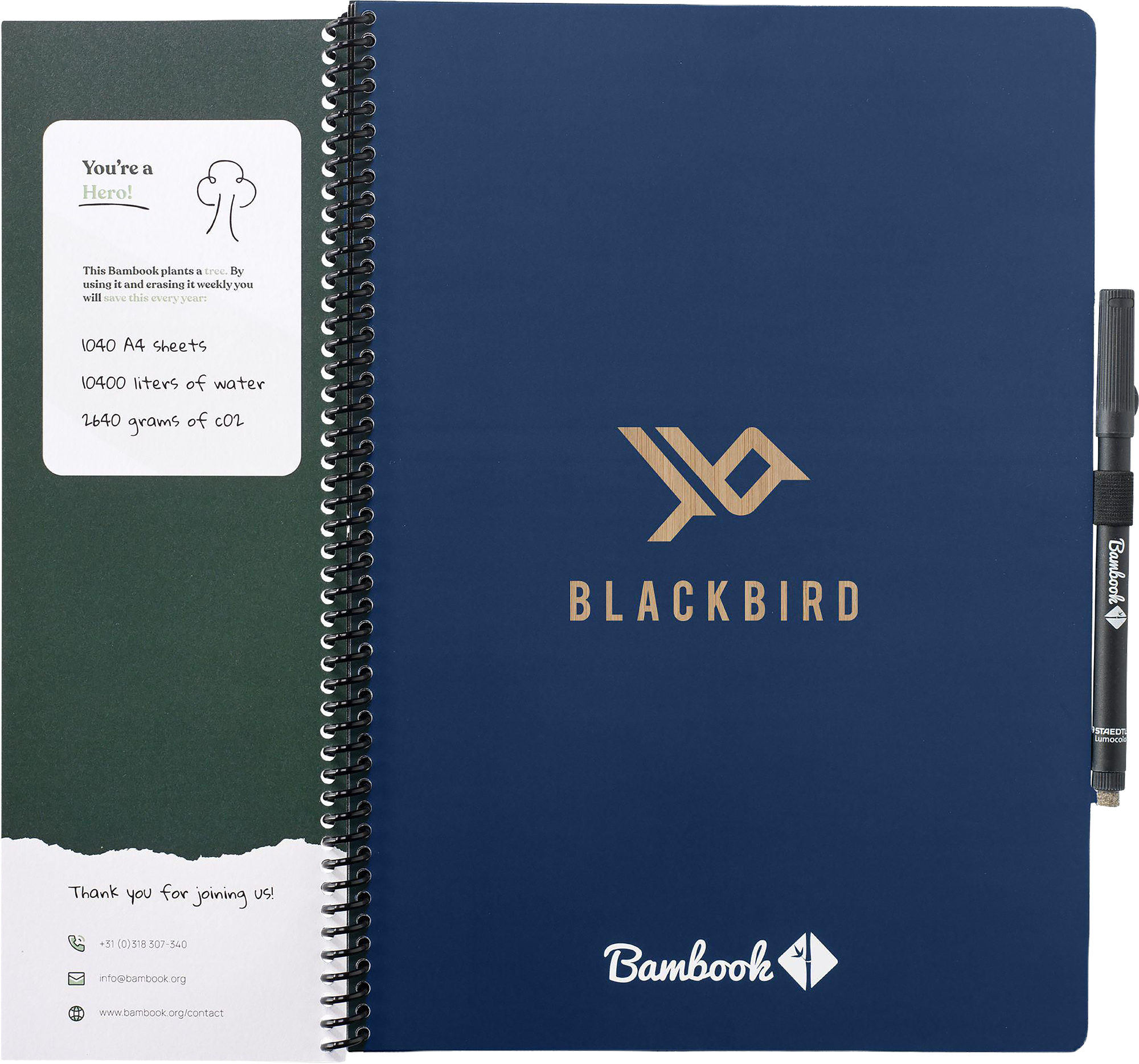 Picture of Bambook notebook with pen loop (approx A4)