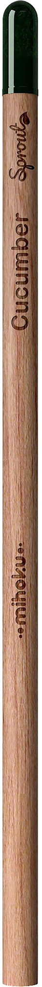 Picture of Sproutworld unsharpened pencil