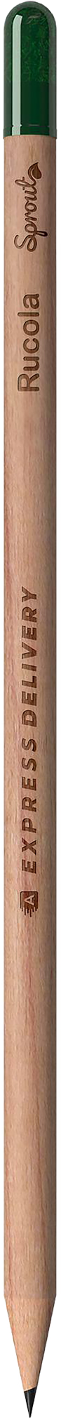 Picture of Sproutworld sharpened pencil