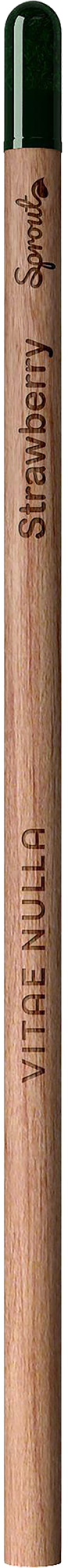 Picture of Sproutworld unsharpened pencil