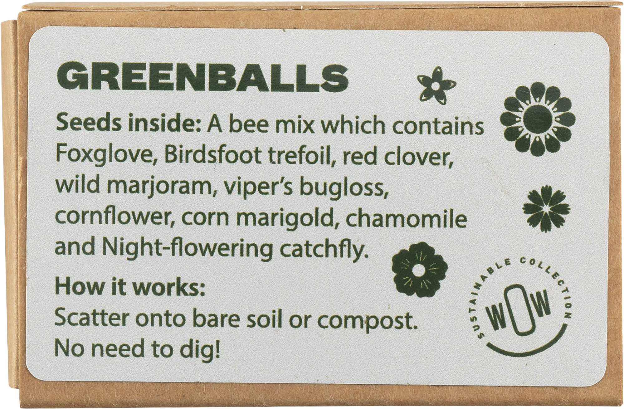Picture of Green Balls mini-eco system