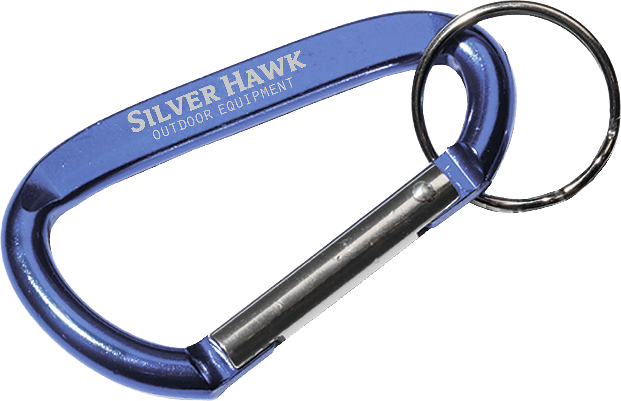 Picture of Carabiner keyring