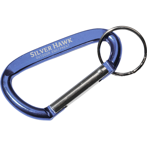 Carabiner keyring