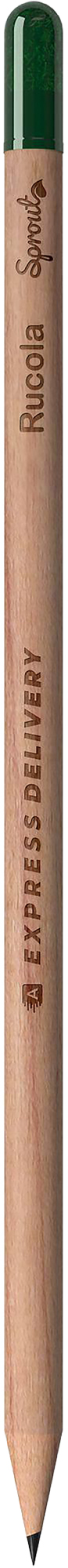 Picture of Sproutworld sharpened pencil