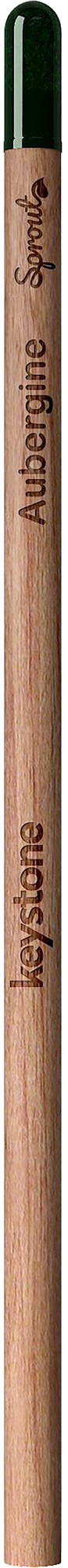 Picture of Sproutworld unsharpened pencil