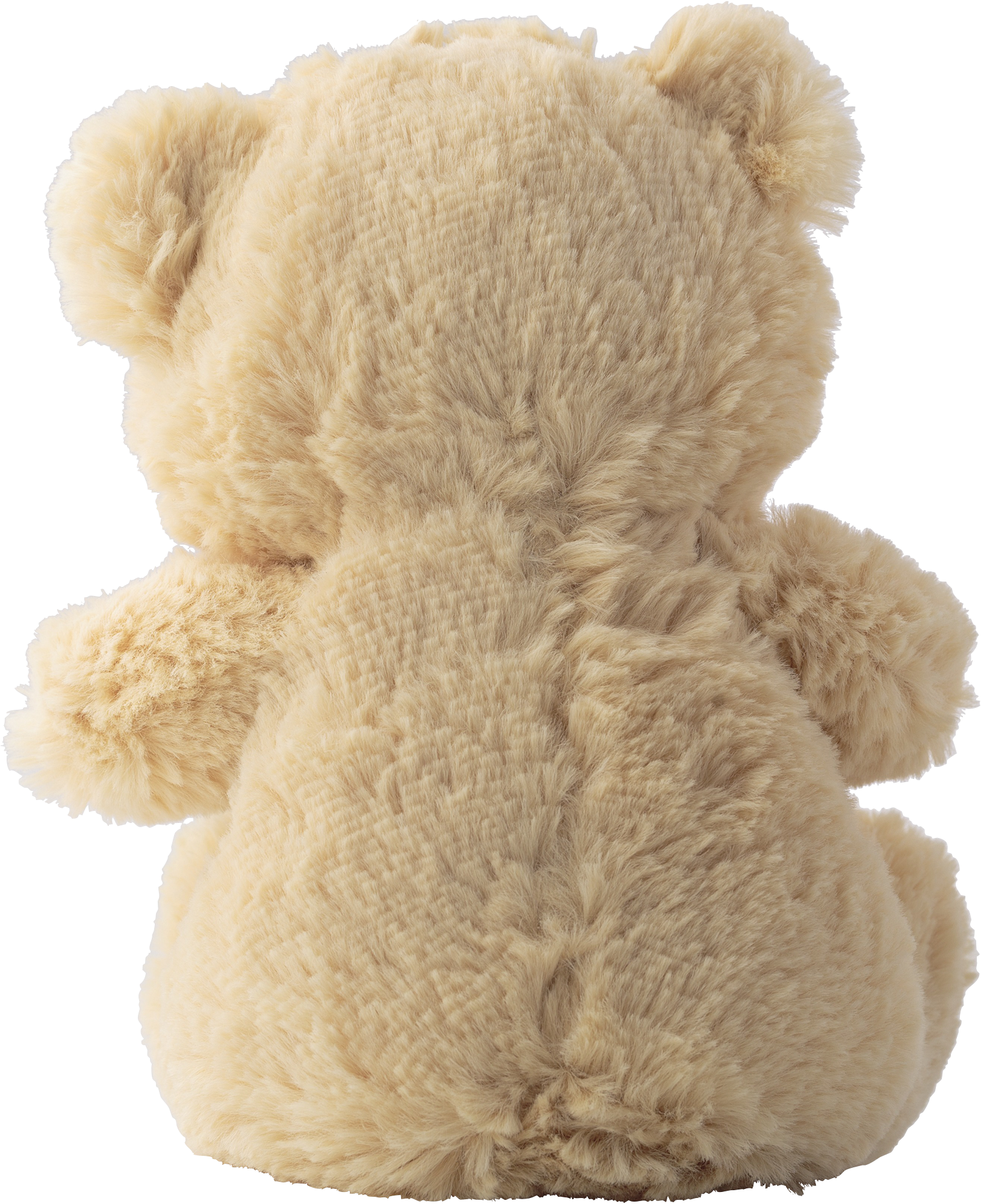 Picture of RPET Bear
