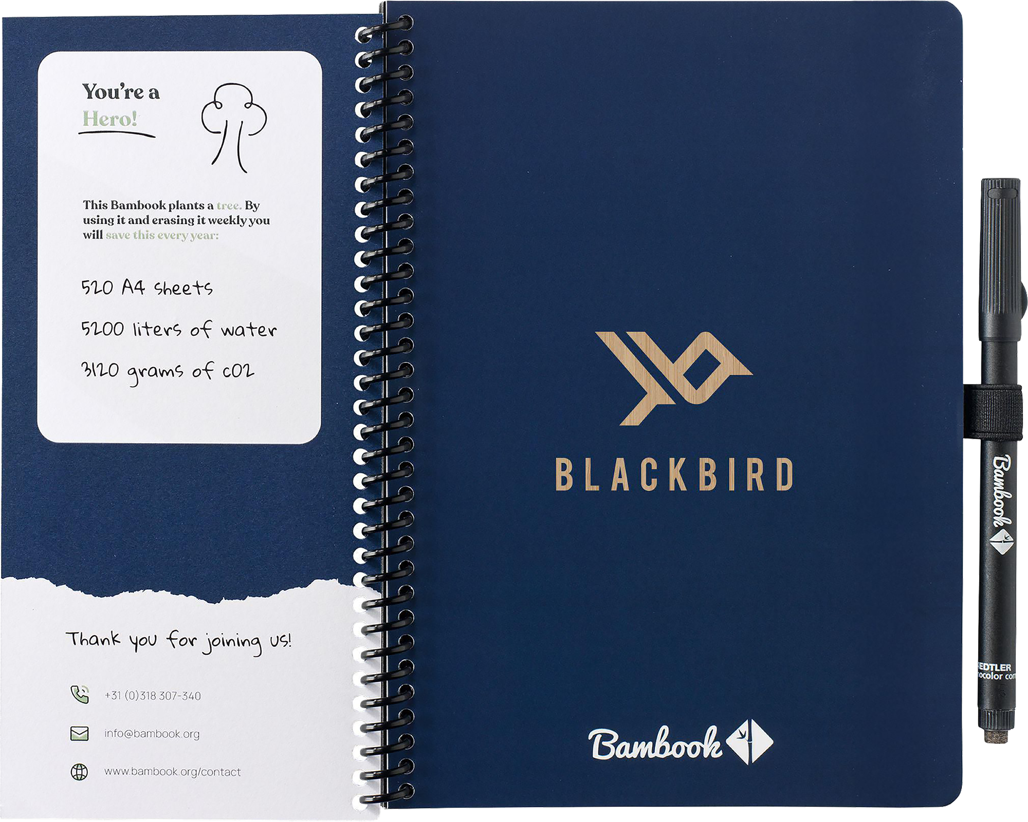 Picture of Bambook notebook with dot grid paper & pen loop (approx. A5)