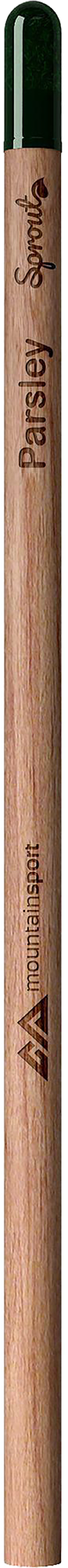 Picture of Sproutworld unsharpened pencil
