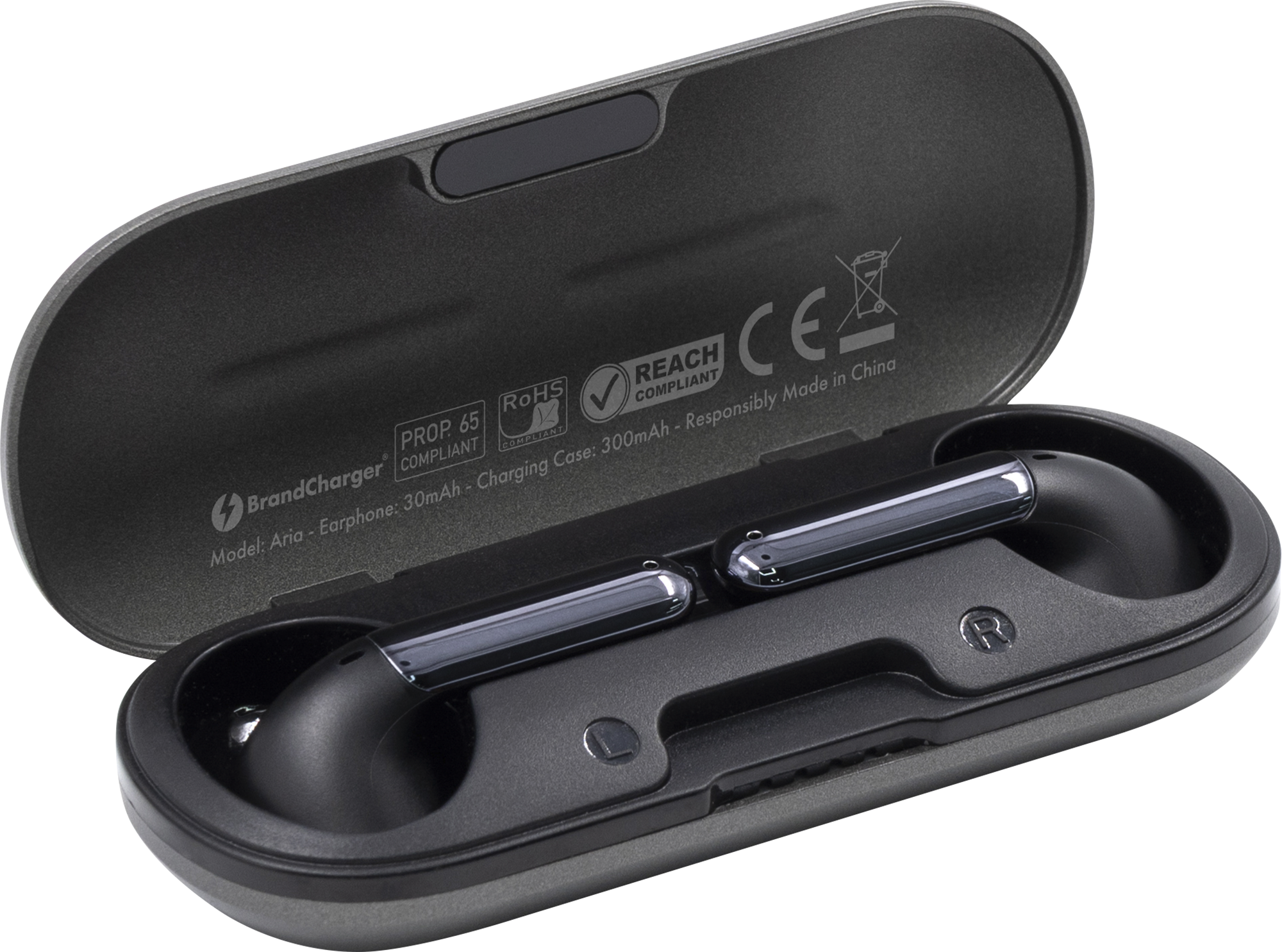 Picture of Brandcharger True wireless Earbuds