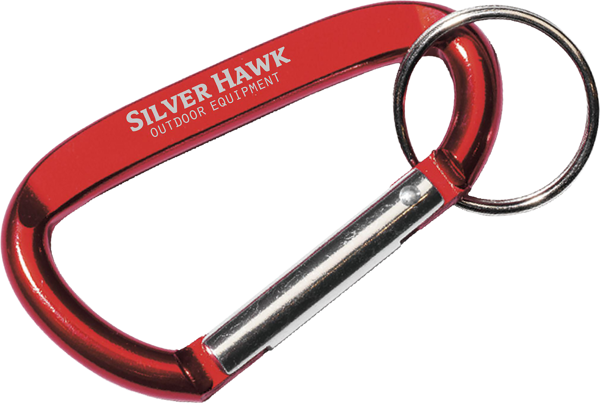 Picture of Carabiner keyring