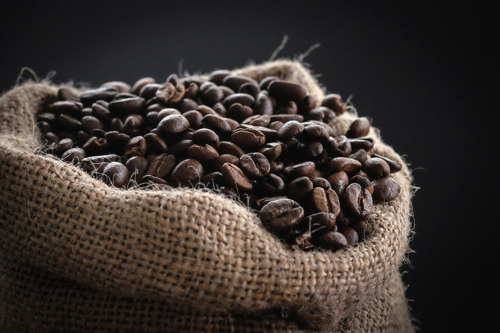 Coffee fibre