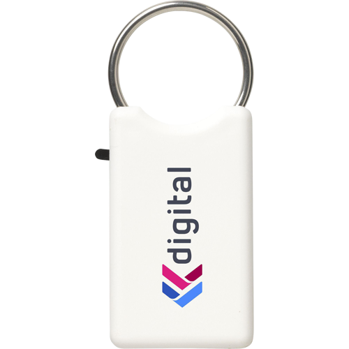 Recycled plastic keyring