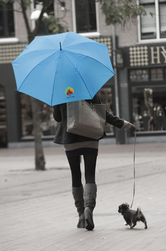 Automatic umbrella 264833_018 (Light blue)