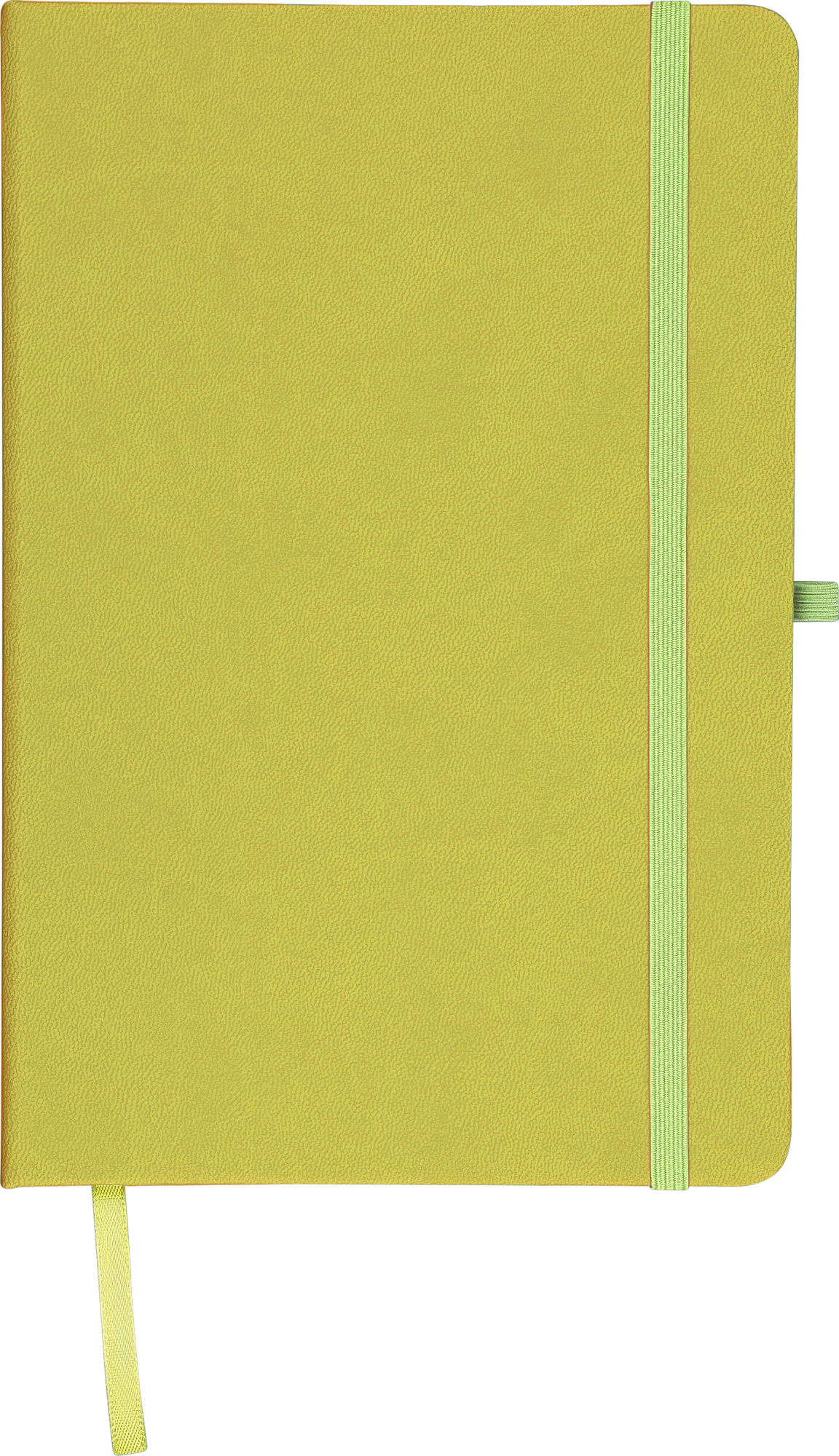 Picture of Recycled colour revealing notebook with pen loop  (approx. A5)