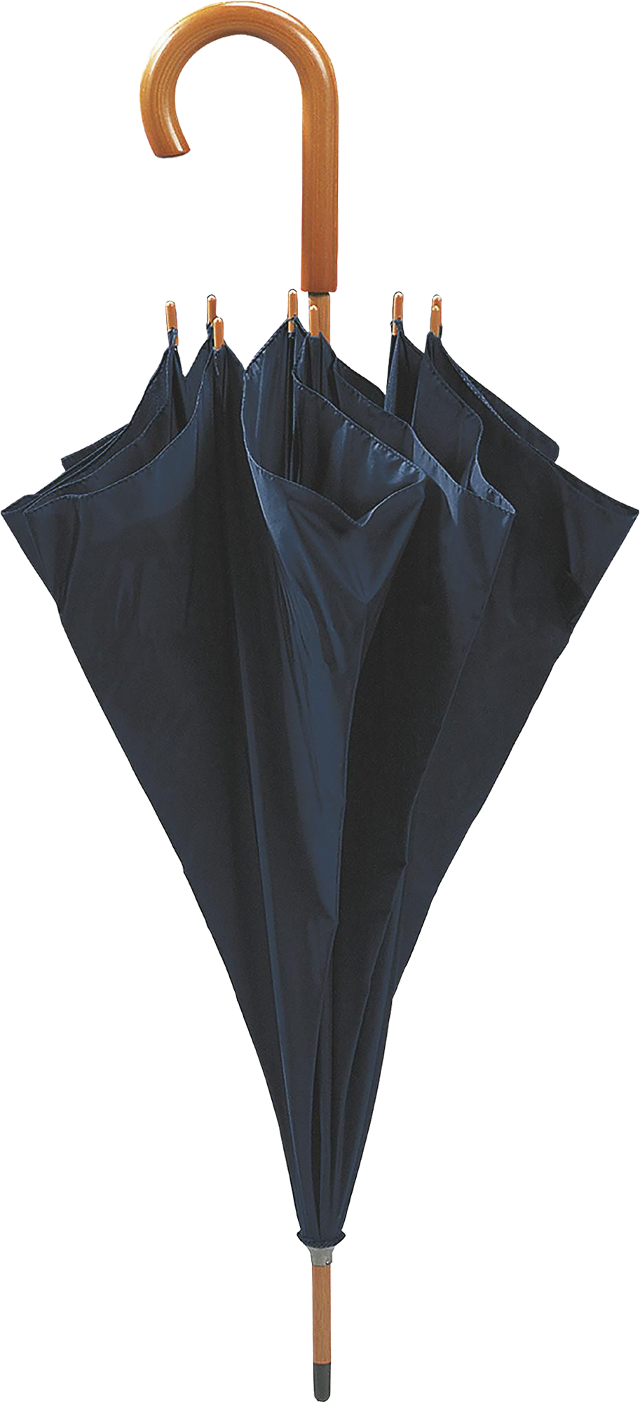 Picture of Walking umbrella 