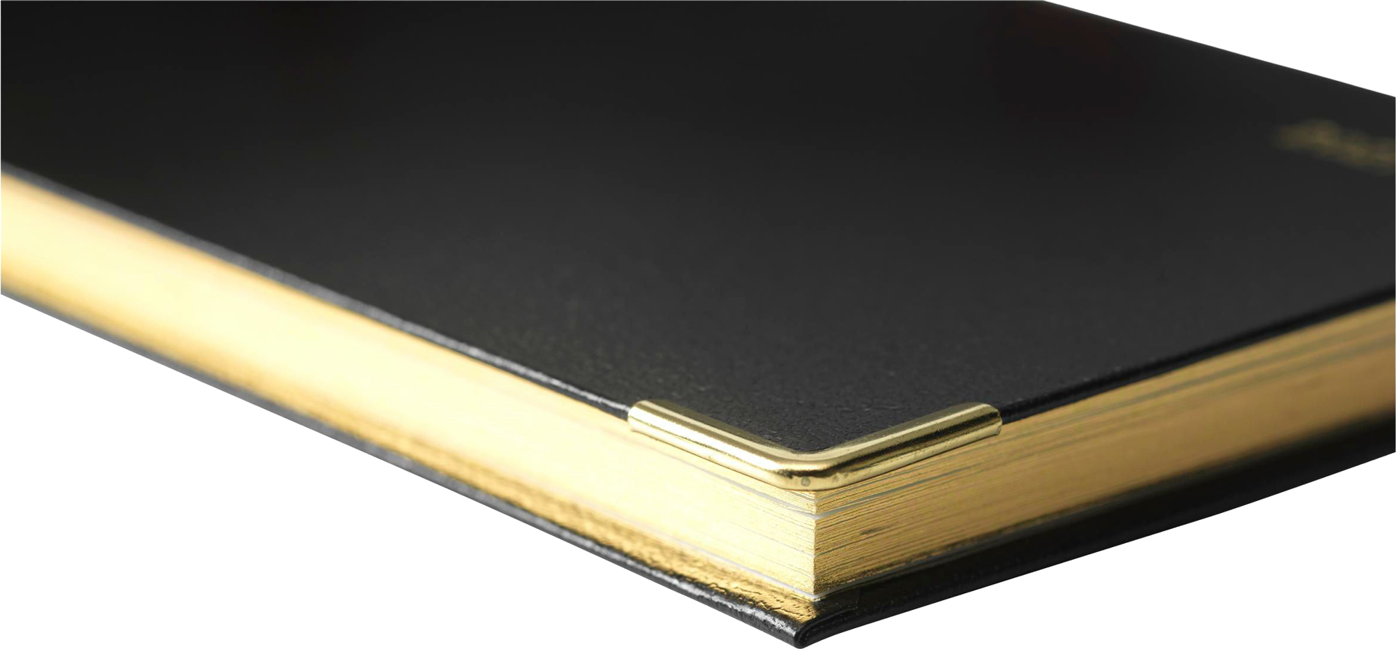 Picture of Euro business diary in 6 languages