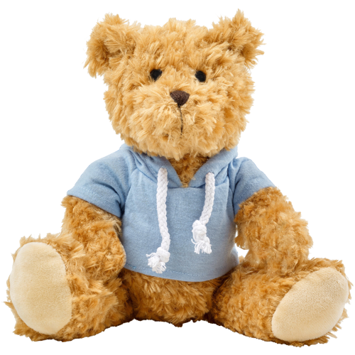 Plush teddy bear with hoodie