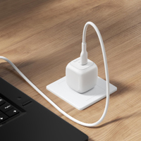 Belkin wall charger (Not suitable for UK or Ireland)  263411_002 (White)